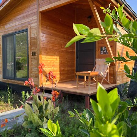 Lemon Garden Lodge Çıralı Luaran gambar