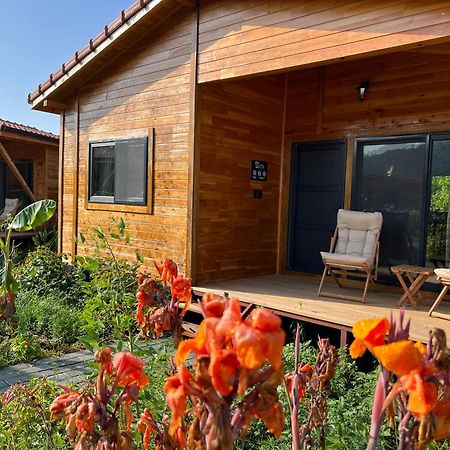 Lemon Garden Lodge Çıralı Luaran gambar