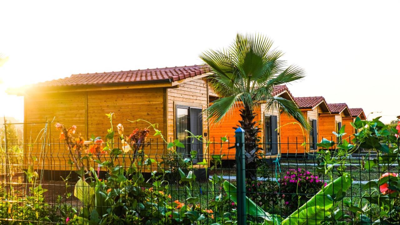 Lemon Garden Lodge Çıralı Luaran gambar