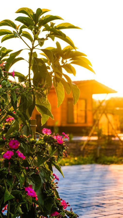 Lemon Garden Lodge Çıralı Luaran gambar