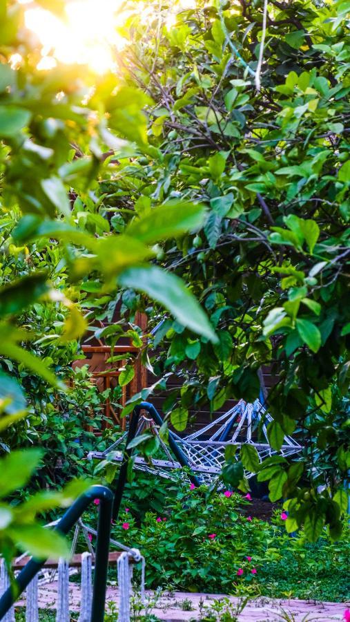 Lemon Garden Lodge Çıralı Luaran gambar