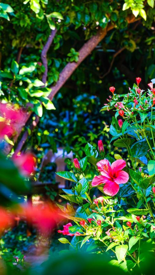 Lemon Garden Lodge Çıralı Luaran gambar