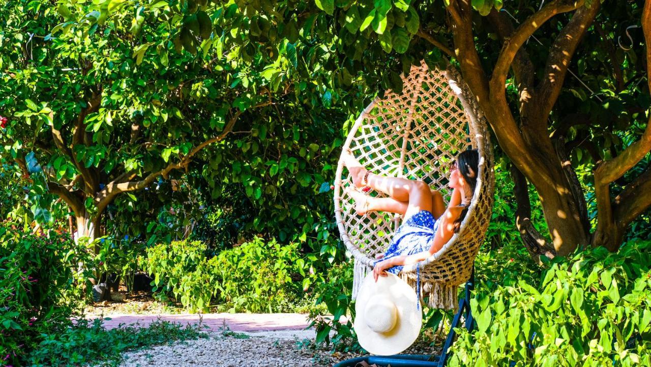 Lemon Garden Lodge Çıralı Luaran gambar