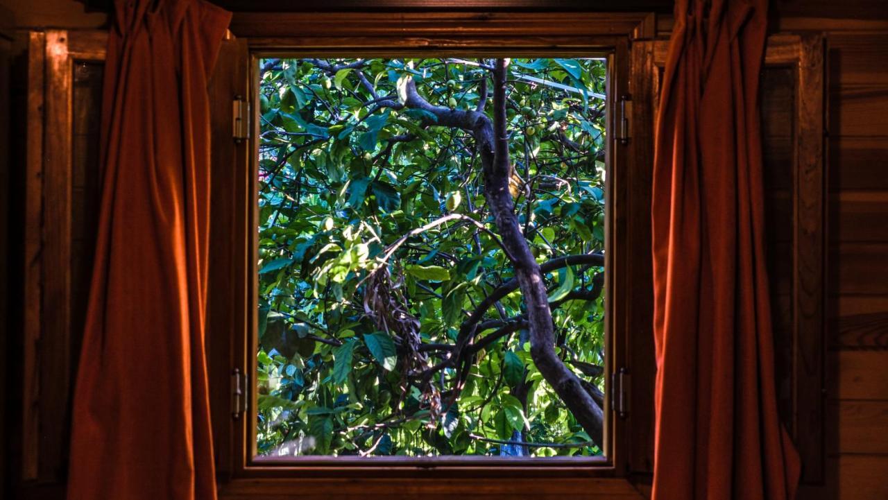 Lemon Garden Lodge Çıralı Luaran gambar