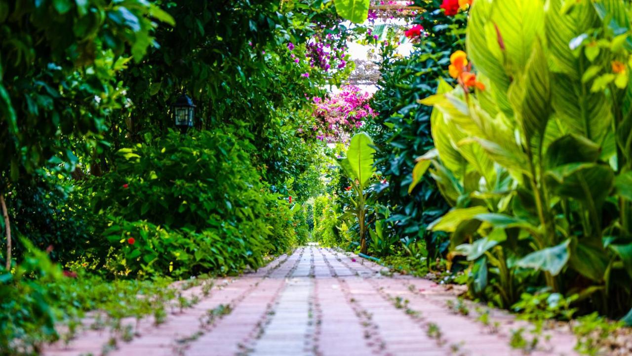 Lemon Garden Lodge Çıralı Luaran gambar
