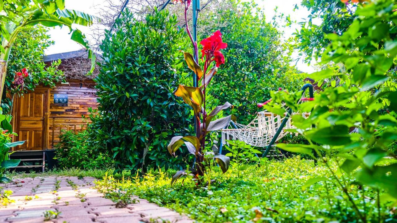 Lemon Garden Lodge Çıralı Luaran gambar
