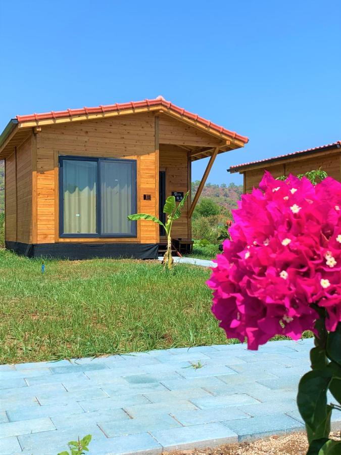 Lemon Garden Lodge Çıralı Luaran gambar