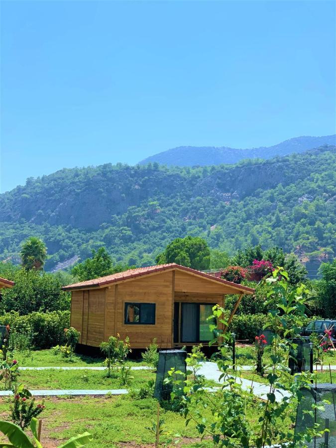 Lemon Garden Lodge Çıralı Luaran gambar