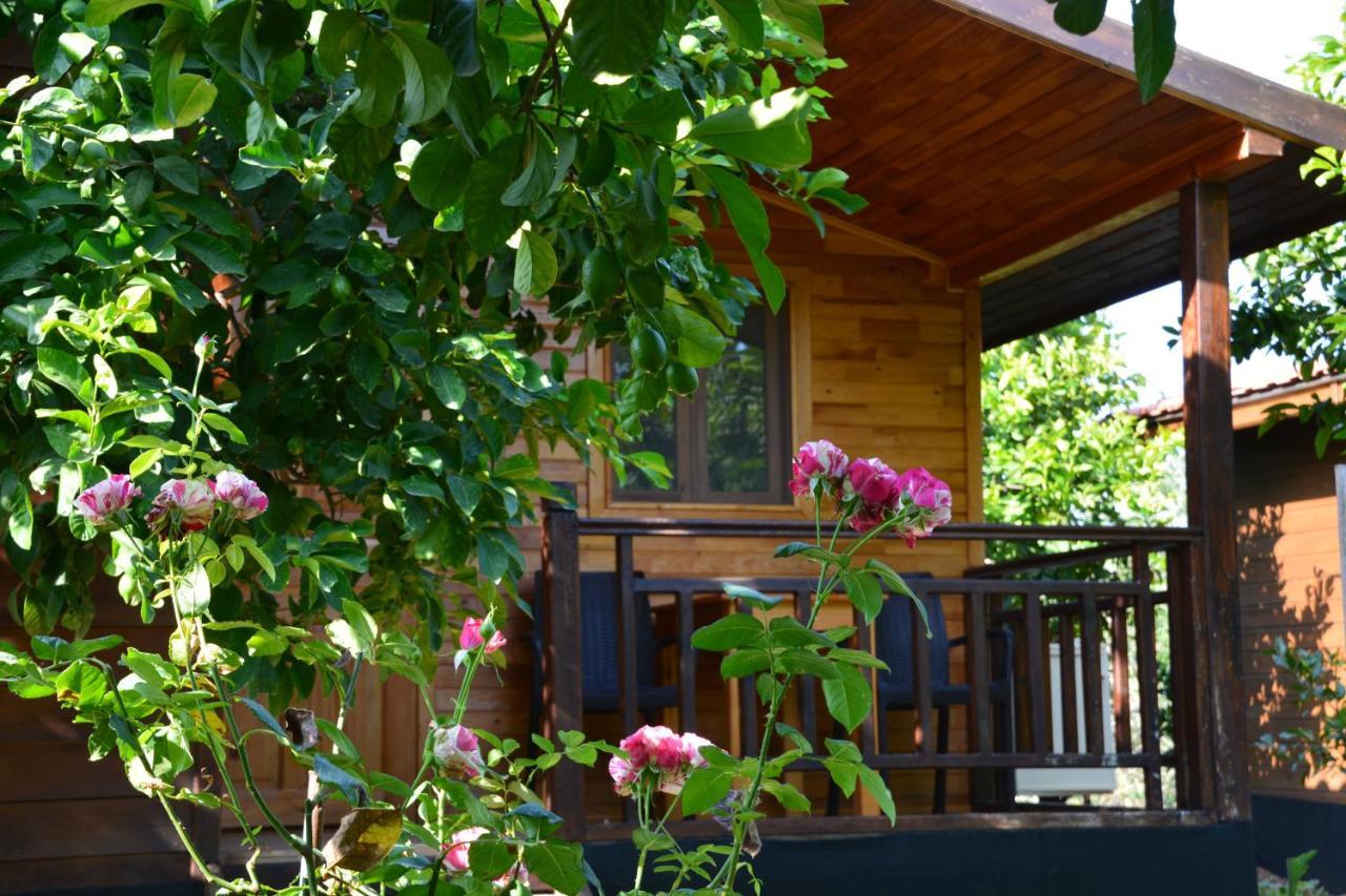 Lemon Garden Lodge Çıralı Luaran gambar