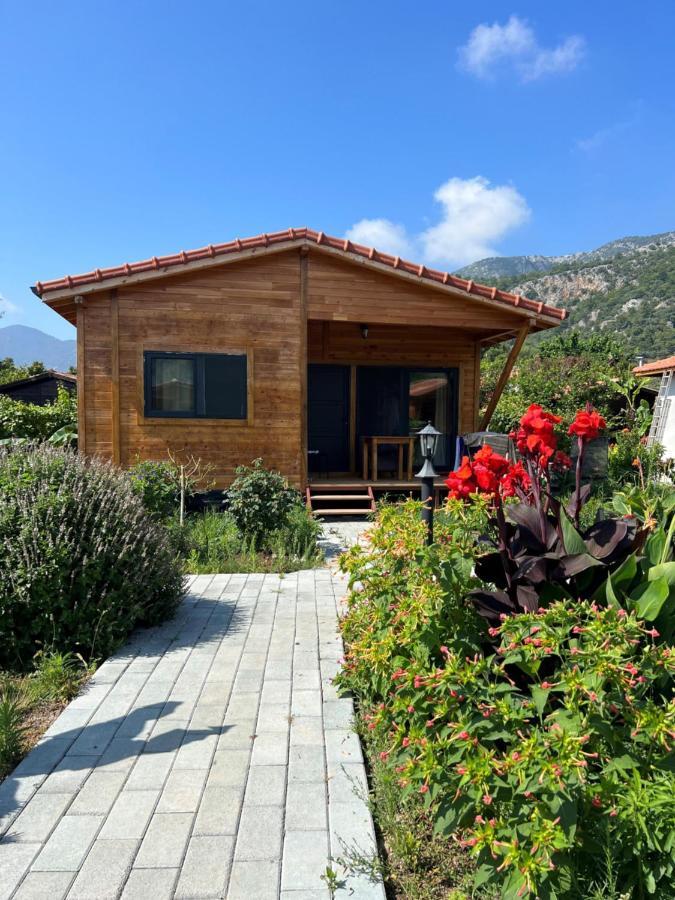 Lemon Garden Lodge Çıralı Luaran gambar
