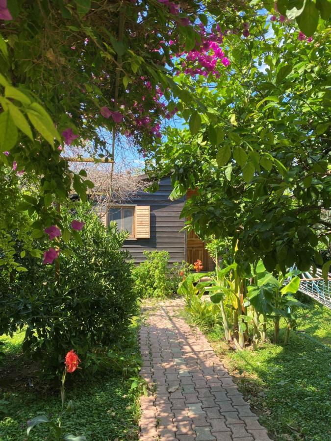 Lemon Garden Lodge Çıralı Luaran gambar