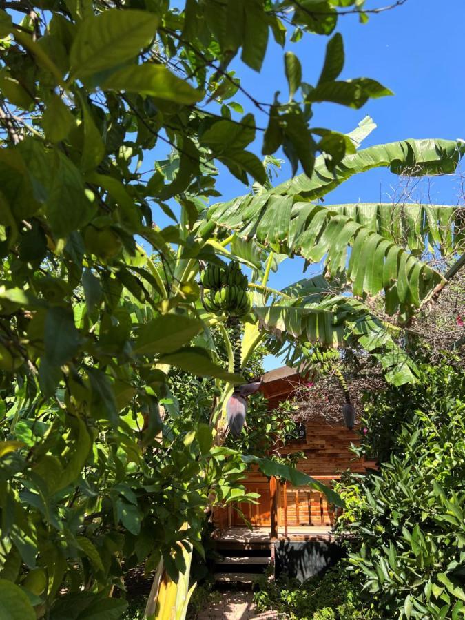 Lemon Garden Lodge Çıralı Luaran gambar