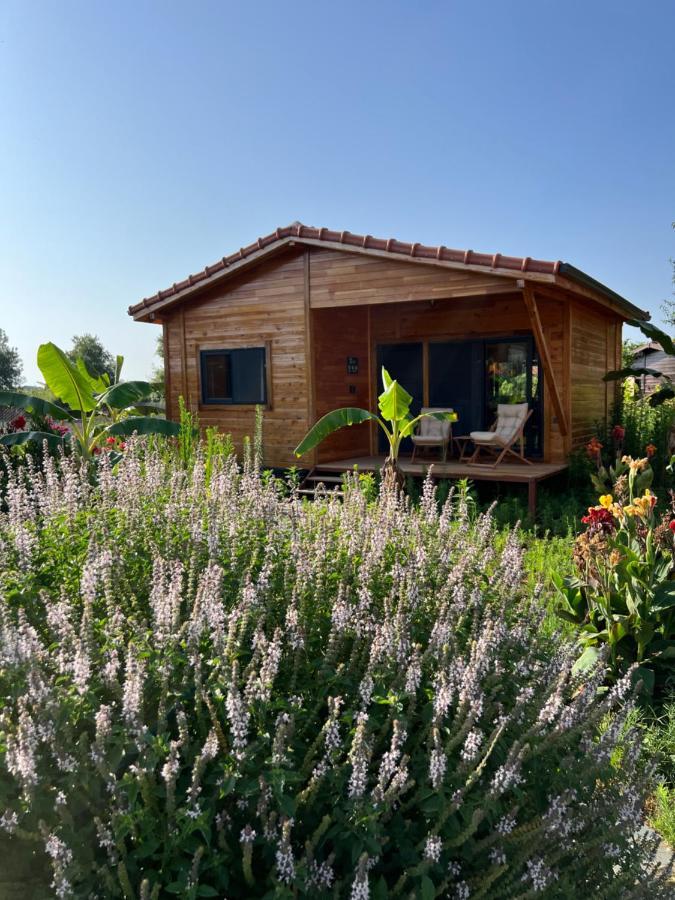 Lemon Garden Lodge Çıralı Luaran gambar