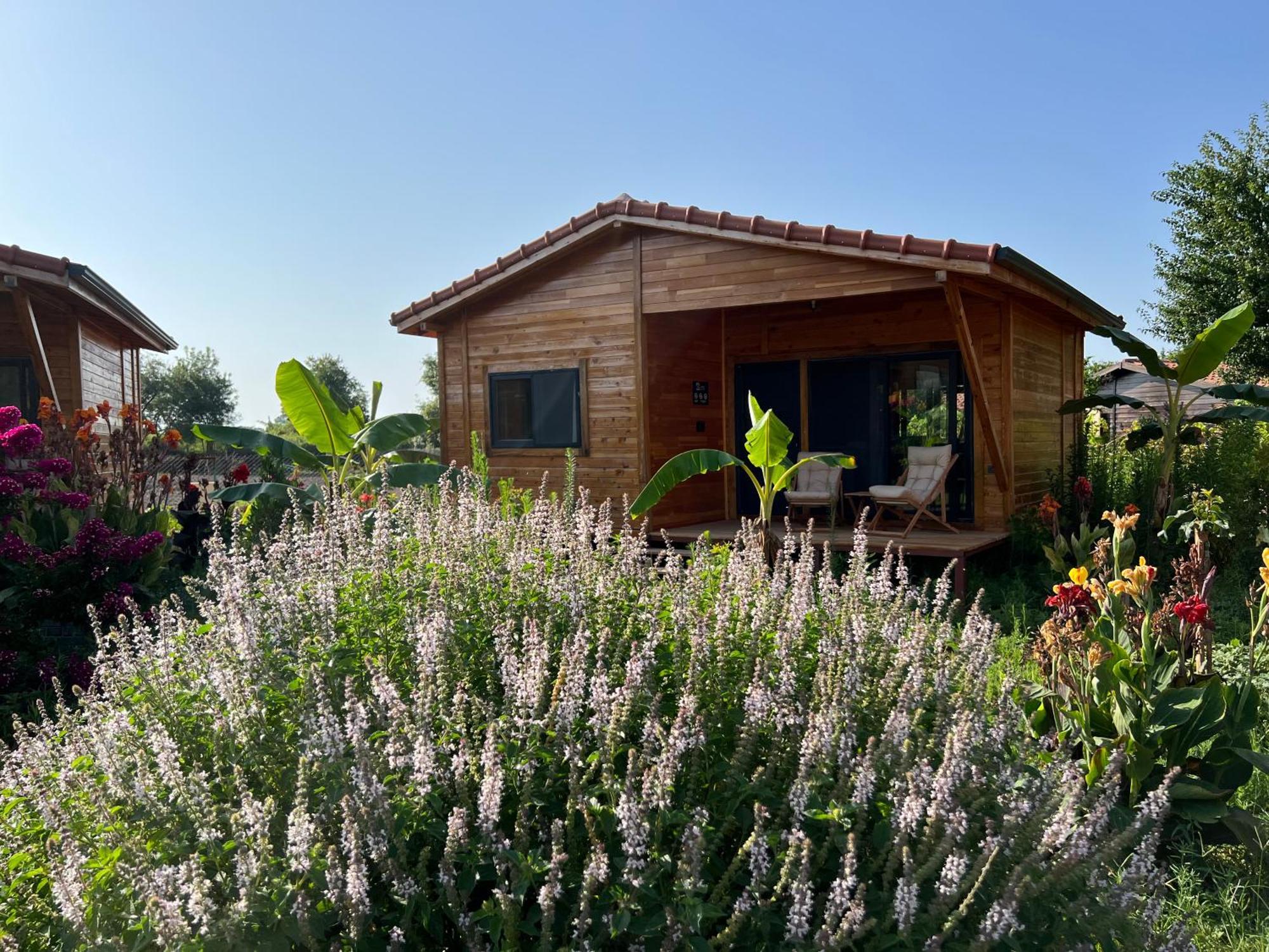 Lemon Garden Lodge Çıralı Luaran gambar