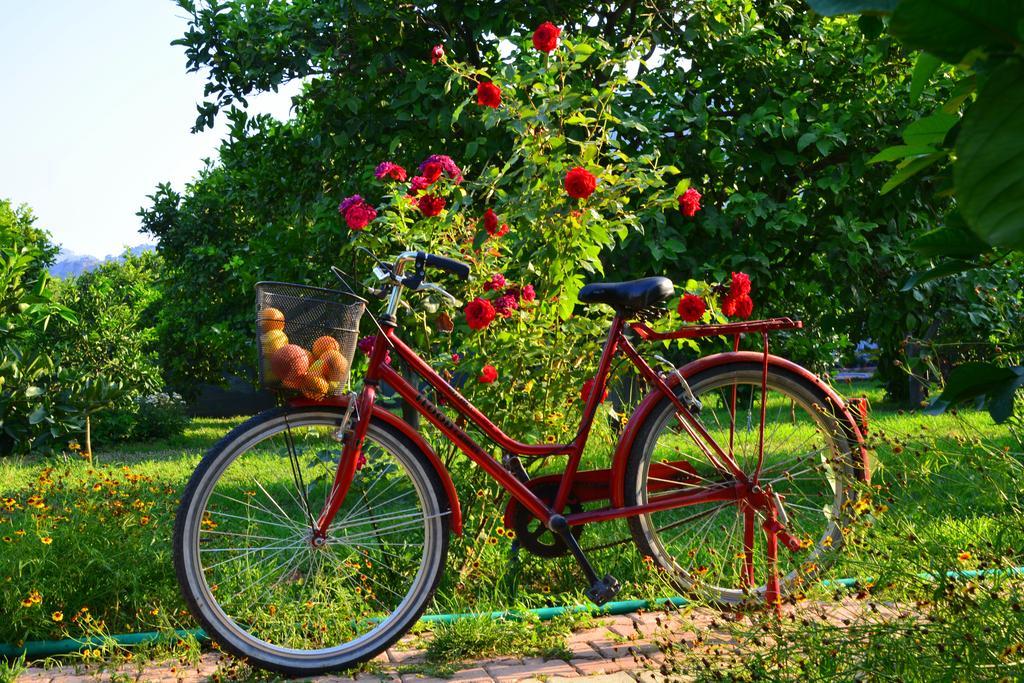 Lemon Garden Lodge Çıralı Luaran gambar