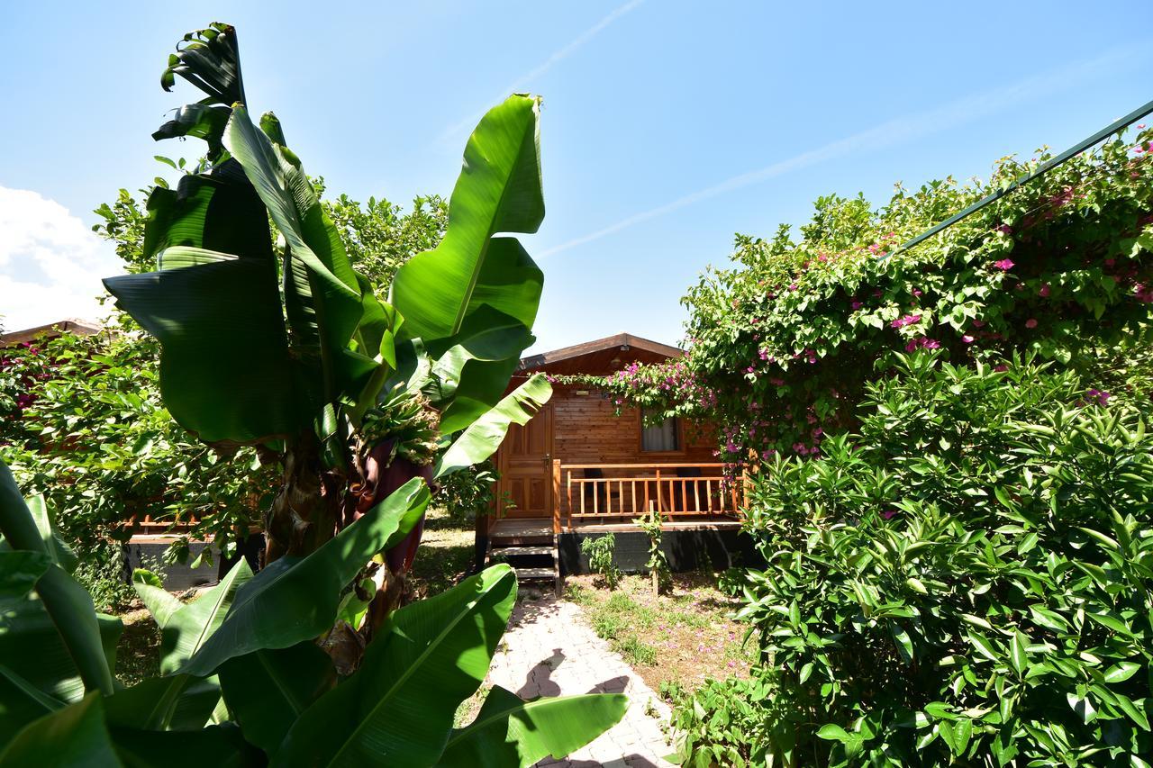 Lemon Garden Lodge Çıralı Luaran gambar