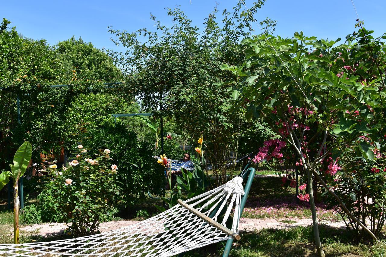 Lemon Garden Lodge Çıralı Luaran gambar